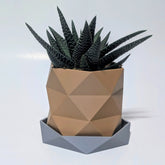 Triangle Pattern Geometric Plant Pot | Twisted Faceted Design with Low Poly Drip Tray