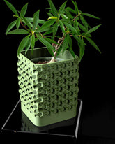 3d printed geometric square planter: modern indoor plant pot