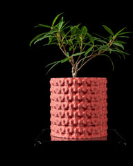 Textured 3d printed planter: modern indoor plant pot with drip tray