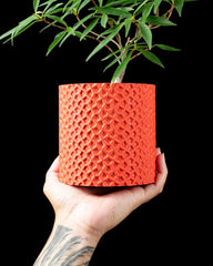 3d printed geometric planter: modern pentagon succulent pot with drainage