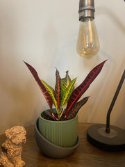 Modern ribbed 3d printed planter pot: medium matte indoor container