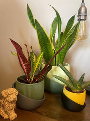 Small modern ribbed 3d printed planter: matte minimalist decor