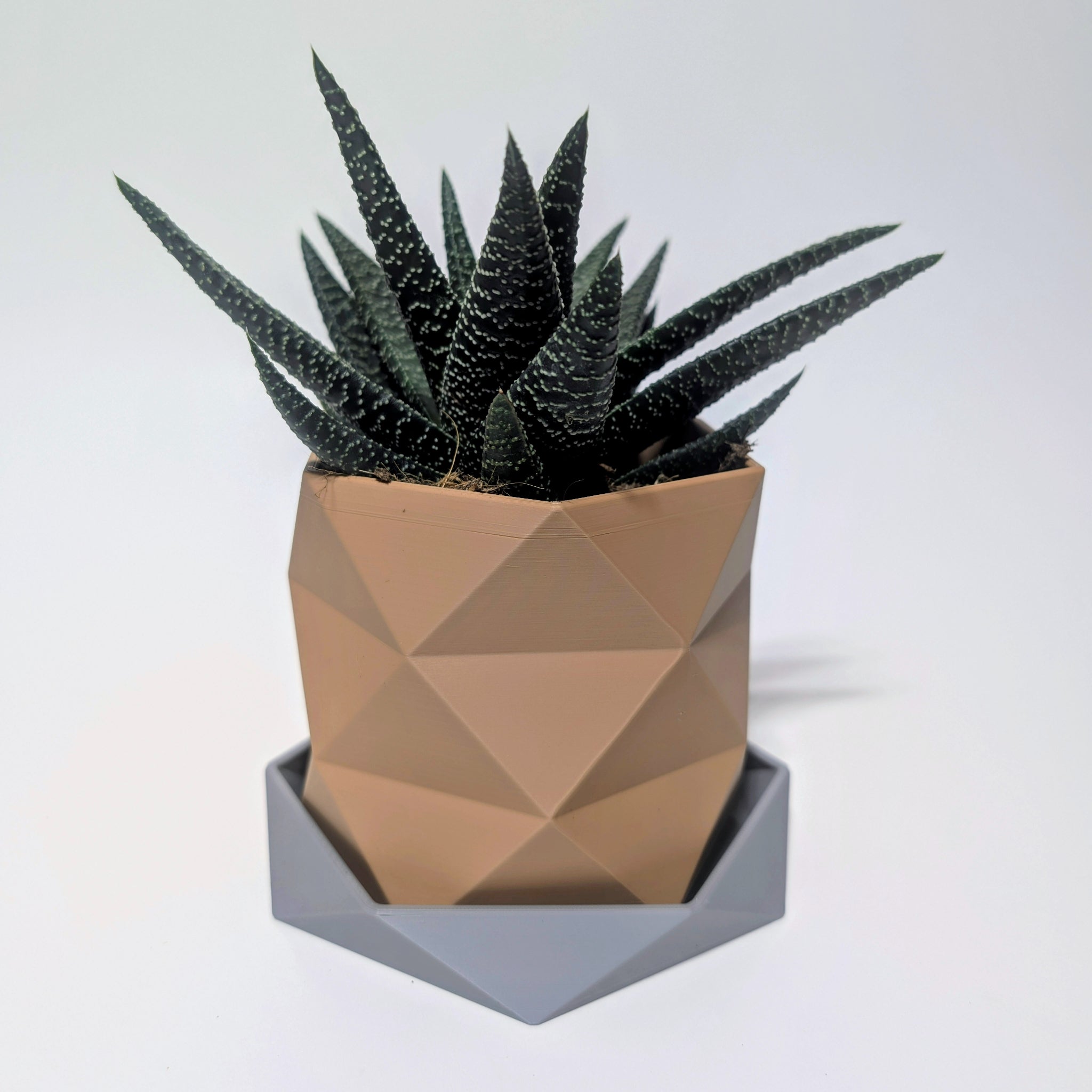 Triangle Pattern Geometric Plant Pot | Twisted Faceted Design with Low Poly Drip Tray