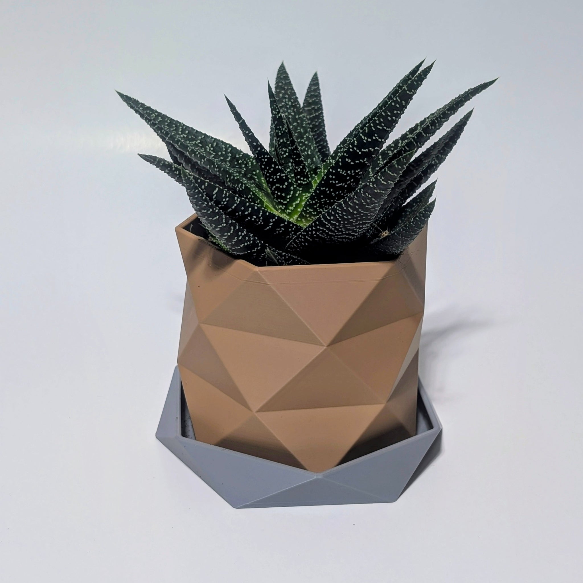 Triangle Pattern Geometric Plant Pot | Twisted Faceted Design with Low Poly Drip Tray