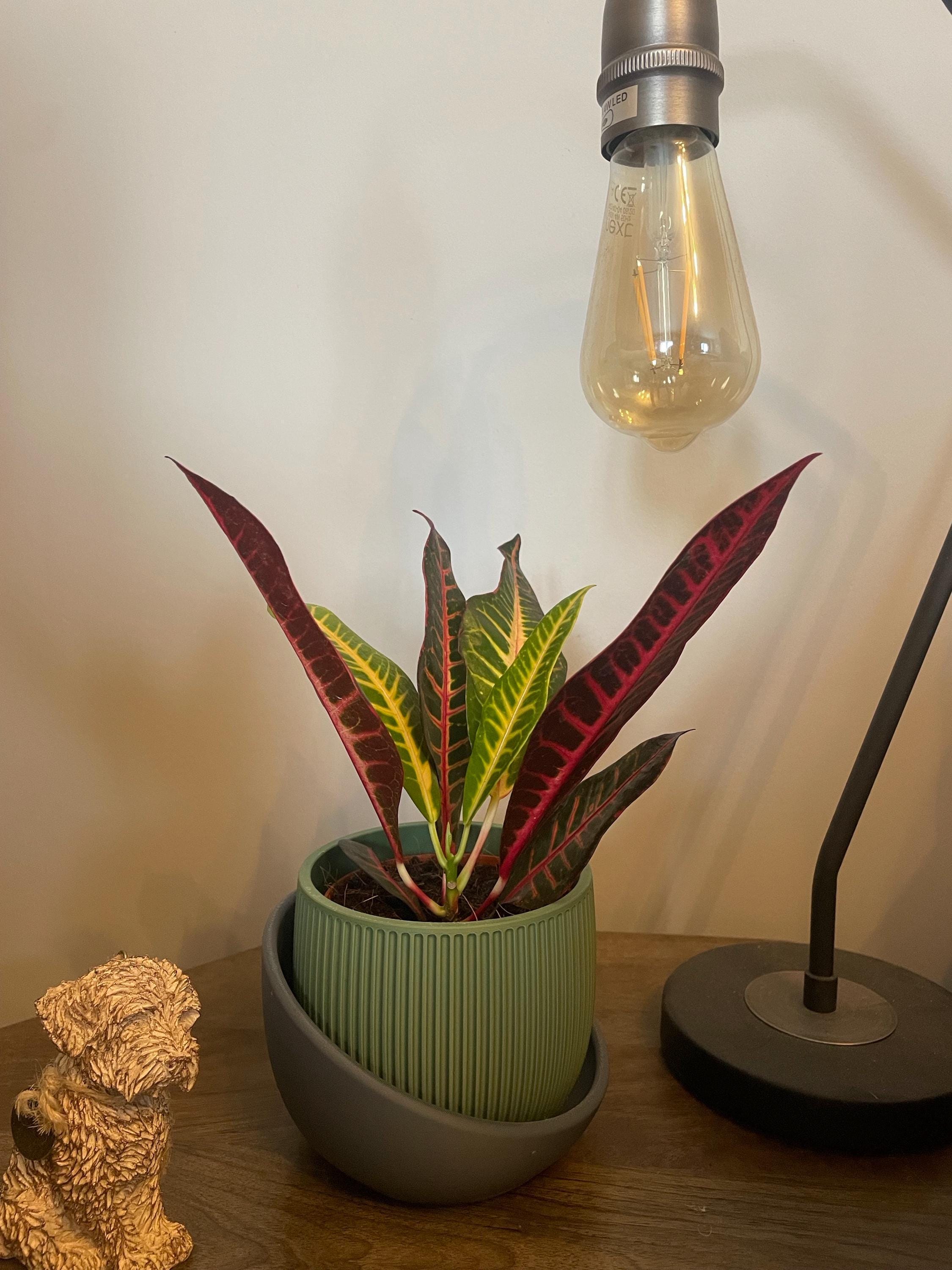 Small modern ribbed 3d printed planter: matte minimalist decor