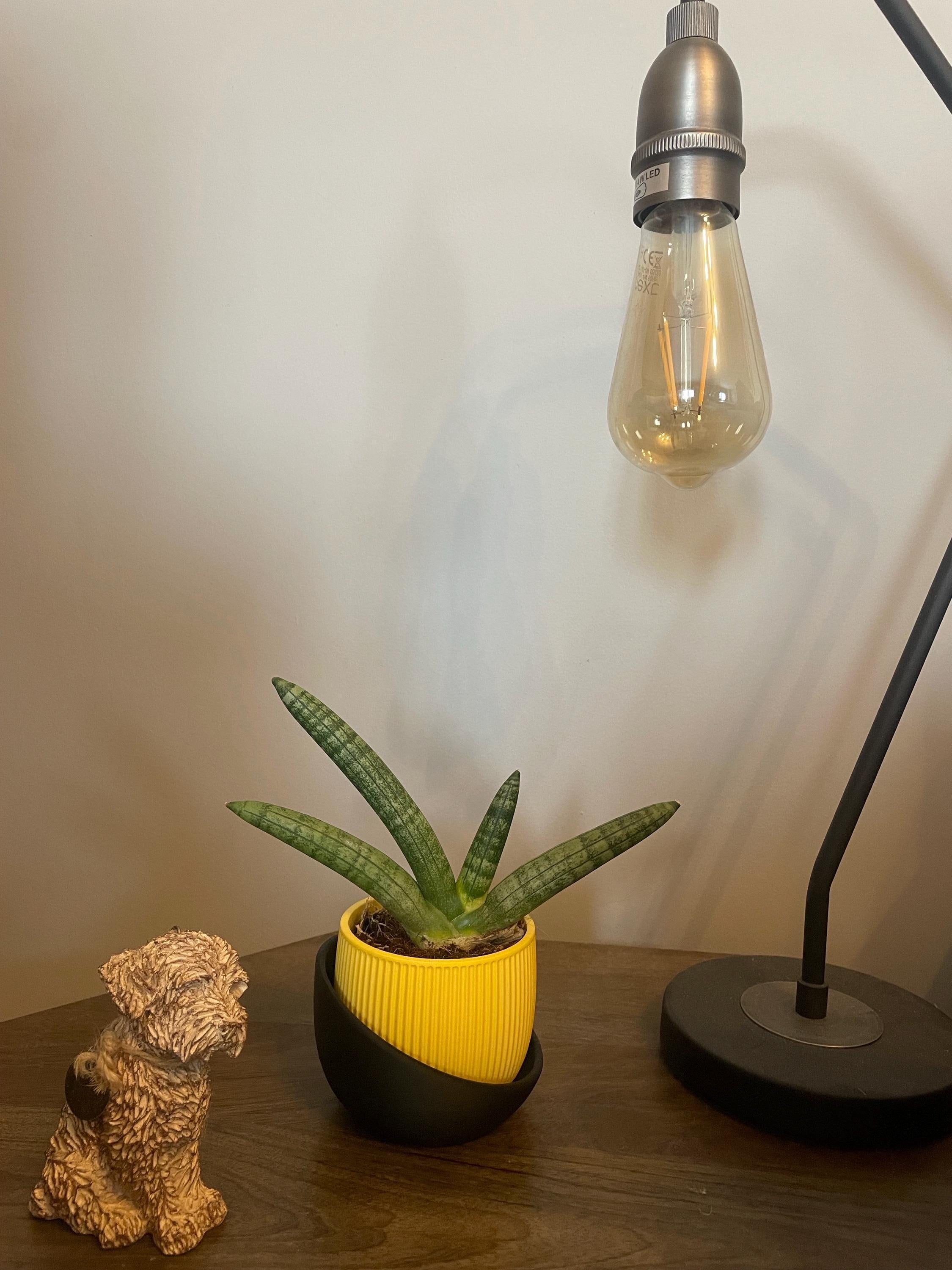 Ribbed indoor planter: modern minimalist plant pot with drainage tray