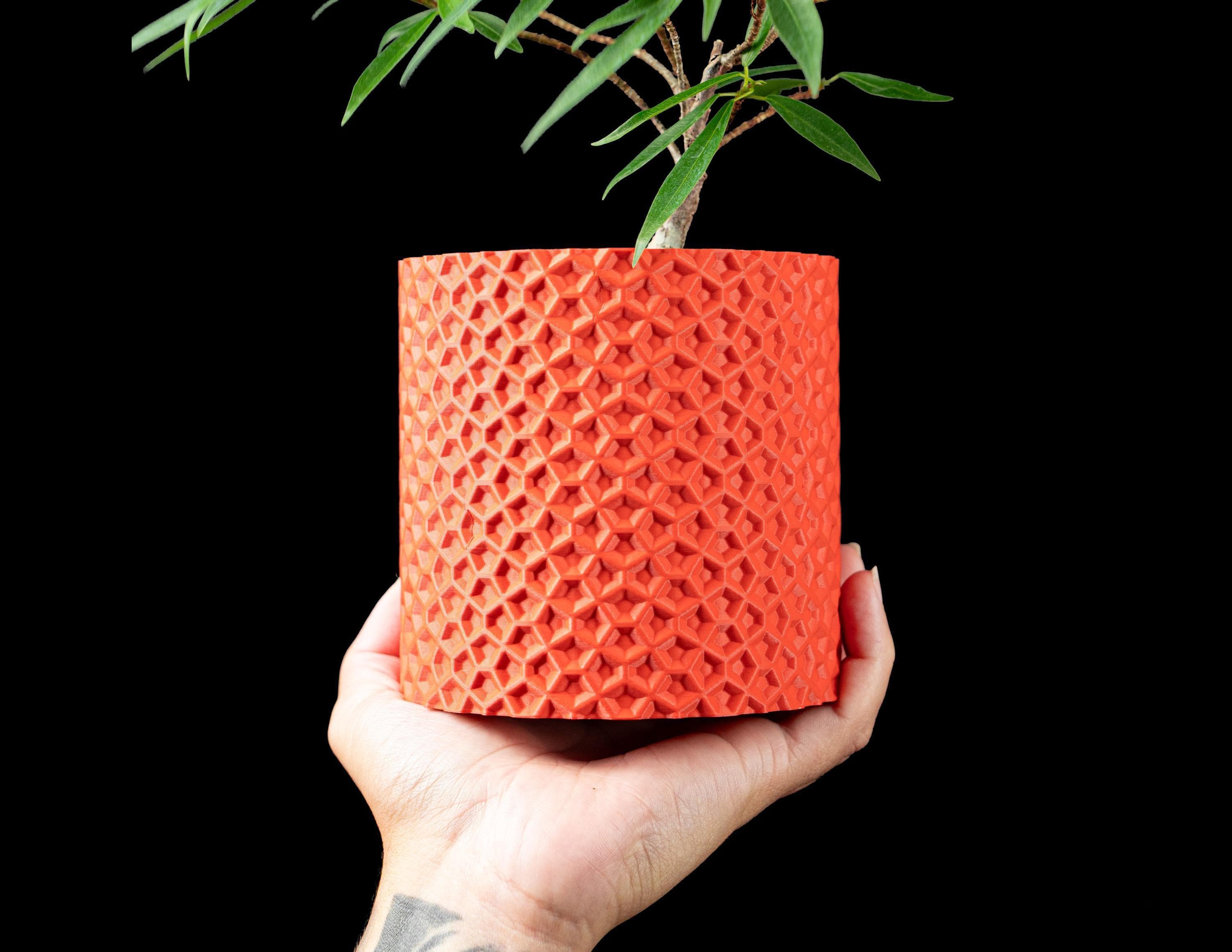 3d printed geometric planter: modern pentagon succulent pot with drainage