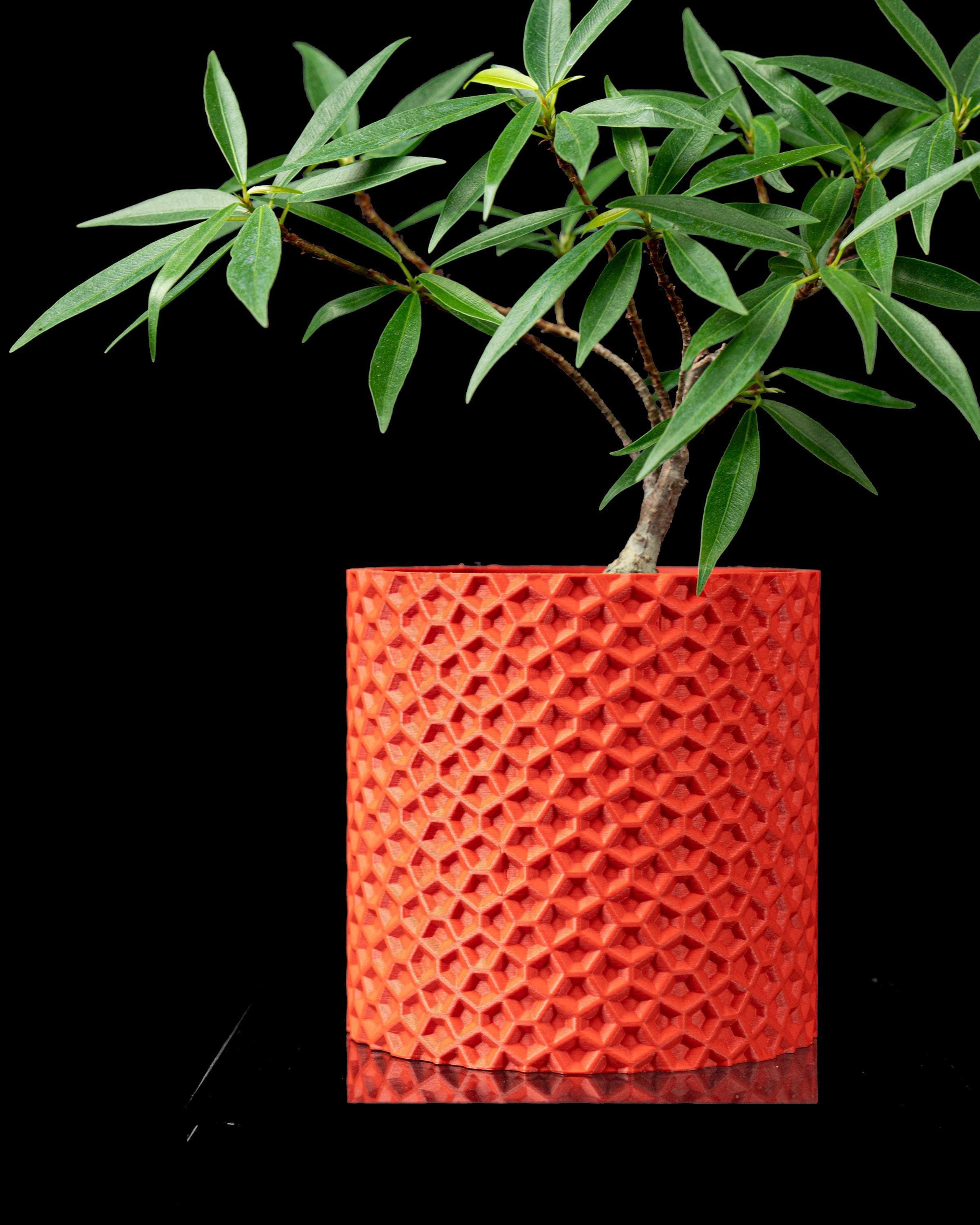 3d printed geometric planter: modern pentagon succulent pot with drainage