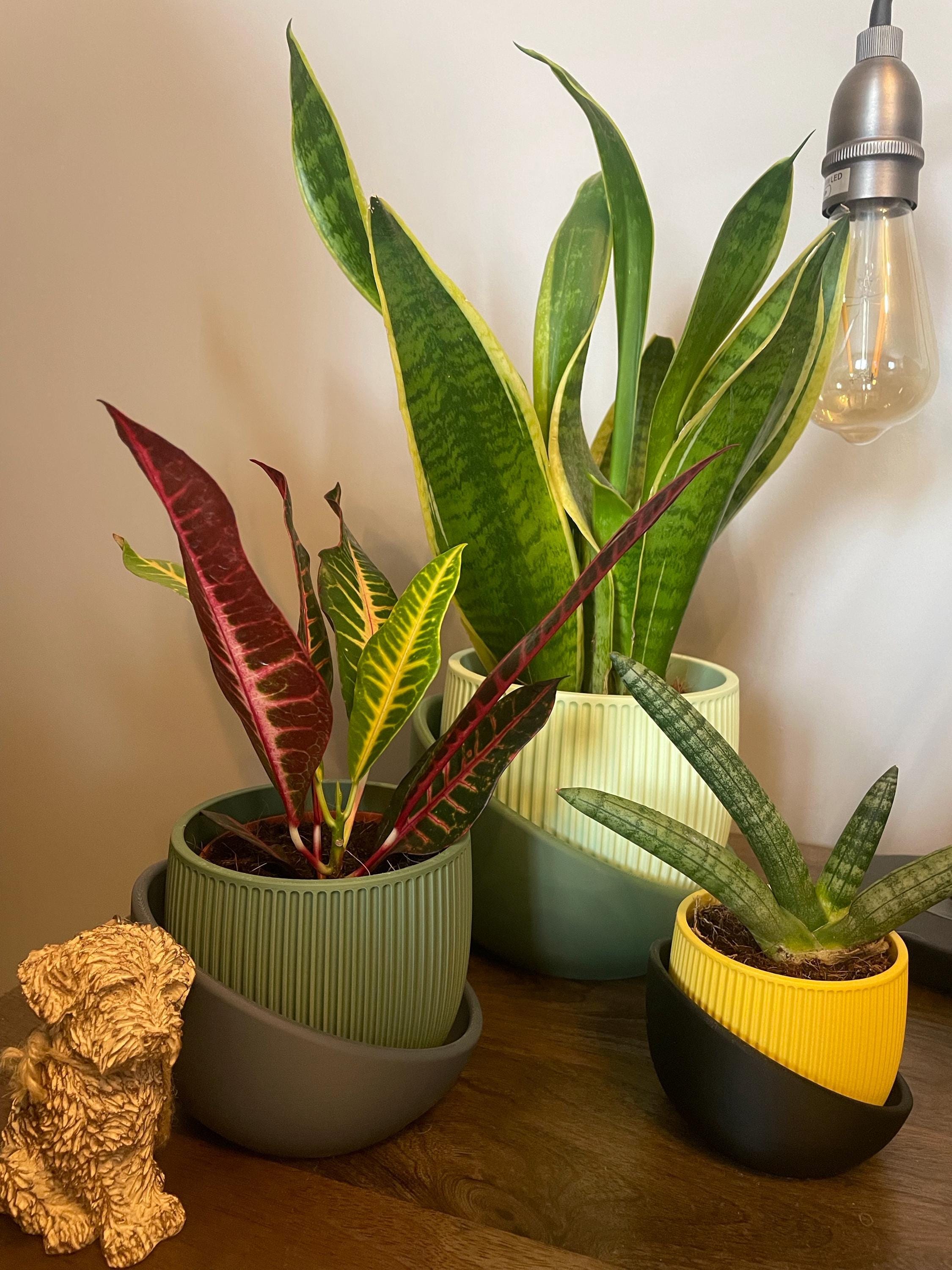 Modern ribbed 3d printed planter pot: medium matte indoor container