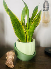 Small modern ribbed 3d printed planter: matte minimalist decor